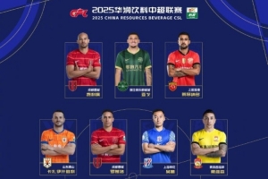 中超9/10月最佳陣容：瓦科、呂焯毅在列，兩門將入選，蓉城三人